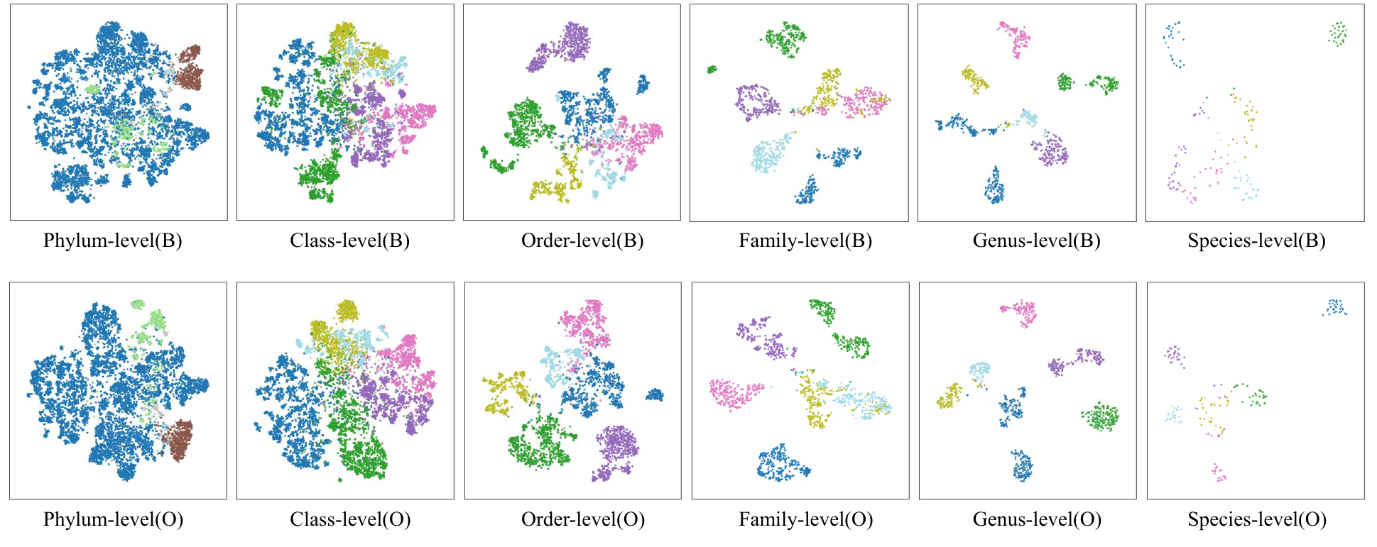 Learned feature representations with improved separability across taxonomic categories